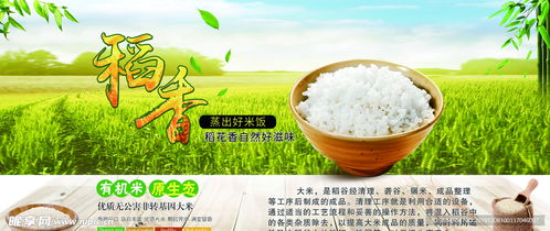 有机米 原生态、非转基因的绿色餐桌选择