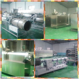 休闲皮带市场报价及食品行业定制厂家概述