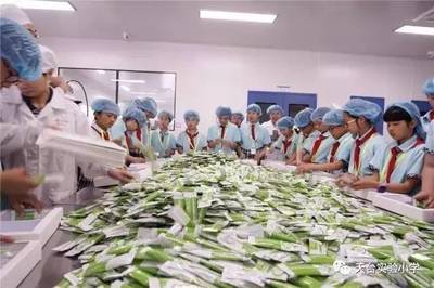 均衡营养 健康中国——记五(3)班家委会亲子食品科普活动